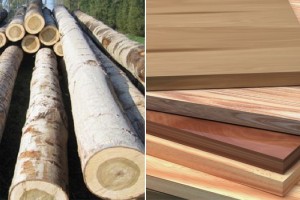 So sánh gỗ công nghiệp và gỗ thịt – Nên chọn gỗ nào?
